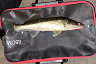 На набережной Саратова ловят последних судаков